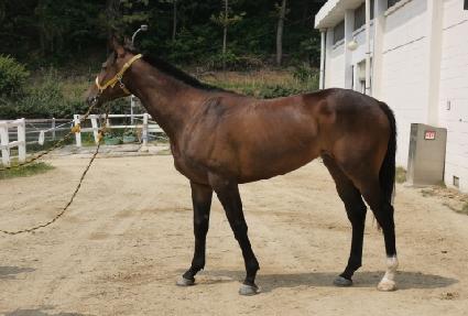 �ǿ��� ����