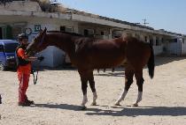 ��¾���� (DAESEUNG AGAIN) ����