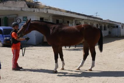 ��¾���� ����