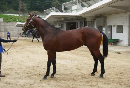 ��Ʈ�ո� ����