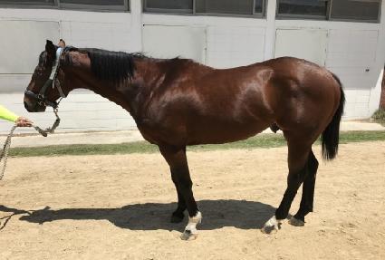 �Ž��ڽ� ����