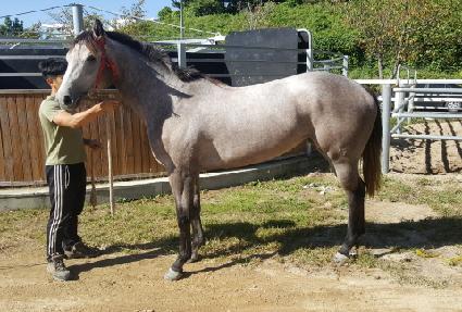 ������Ʈ ����