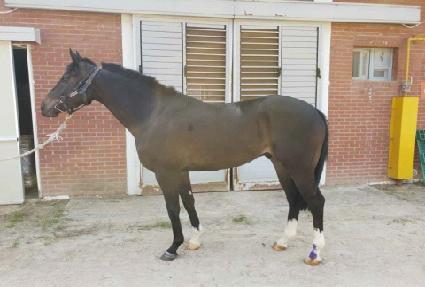 ���Ϲ��� ����