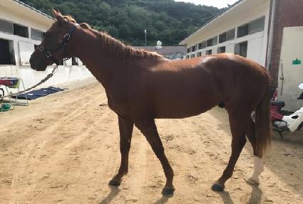 õ���Ǿ�ħ ����