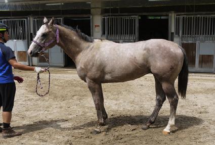 �۷ι����� ����