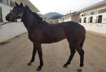 ��ī�̶���� (SKY LOUNGE) ����