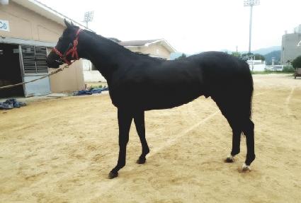 ����è�� ����