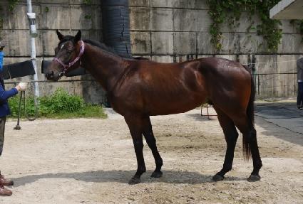 �ź�� ����