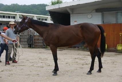 �ø��� ����