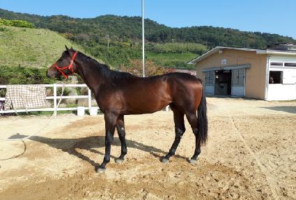 �Ű��� ����