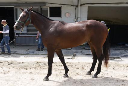 ������ػ��� ����