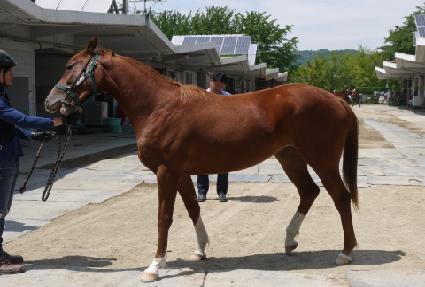 ���սô� ����