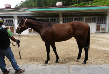 �۷ι���ũ ����