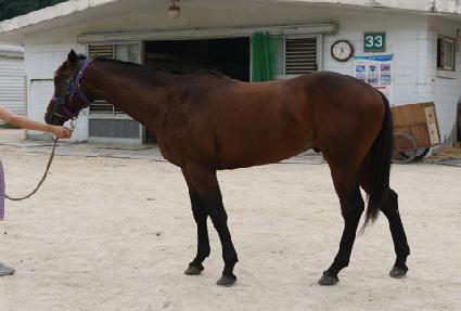 �������Ŀ� ����