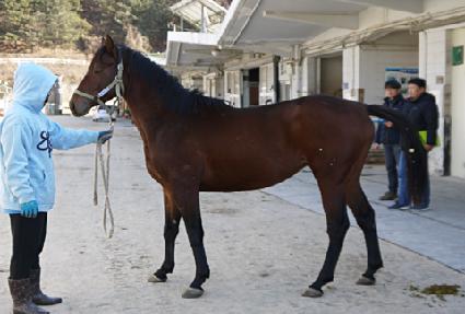 ������� ����