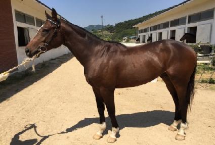 ŷ���Ŀ� ����