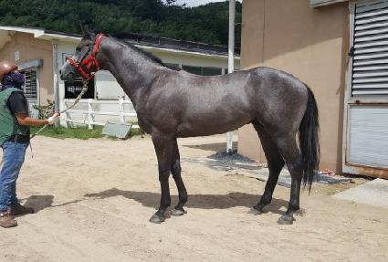 ���� ����