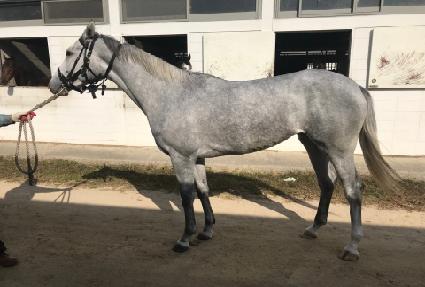 õ���ǹٴ� ����