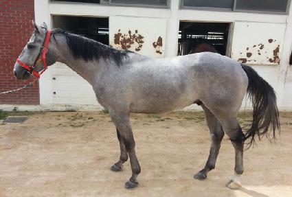 ������� ����