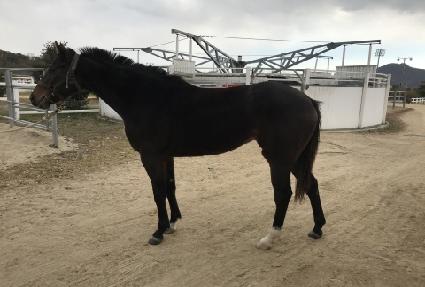 ��ũ���÷� ����