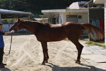 �ο������� ����