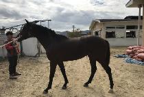 ����Ʈ (THE FACT) ����