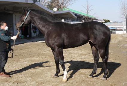 �����ǹٶ� ����