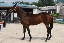 �����ǹ̼� (SEUNGJAUI MISO) ����