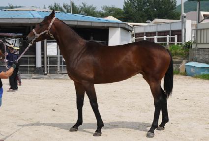 �����ǹ̼� ����