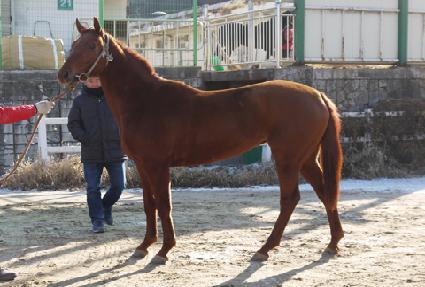 ������� ����