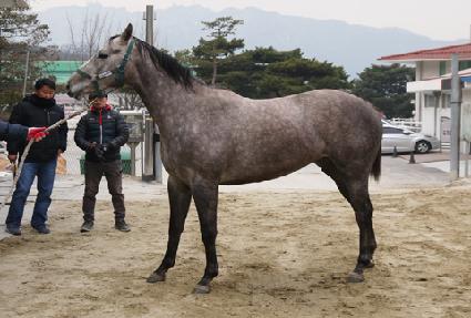 ���ƿö� ����