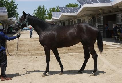 ���긮���� ����