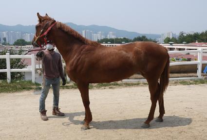 Ÿ�̳� ����