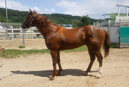 Ÿ�ӽ��� ����