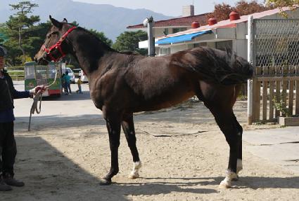 �̶�Ŭ�Ѽ� ����