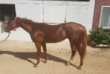 �����Ǵн� ����