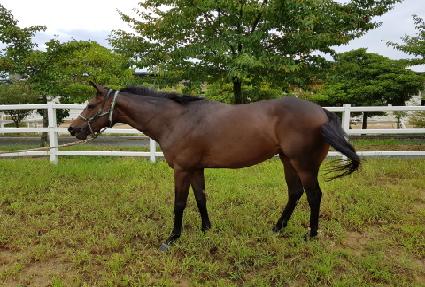 �̽���� ����