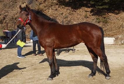 ���̿��ظ� ����