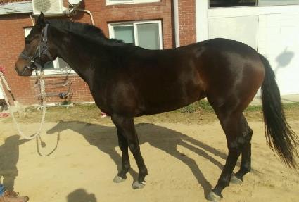 �����뼼 ����