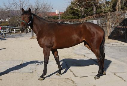 �����ε� ����