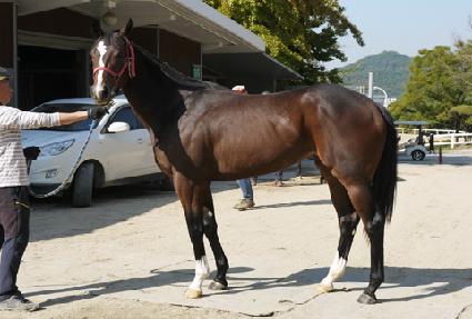 �򼱴� ����