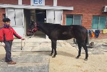 RENAISSANCE MAN picture