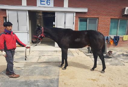 ���׻󽺸� ����