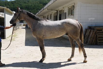 �׷��嵹ǳ ����