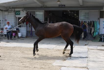 ���������� ����