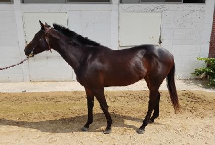 �����κν��� ����