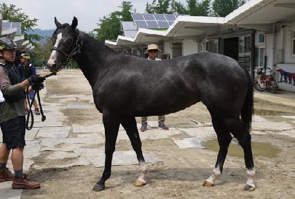 �ٶ󵥷� ����