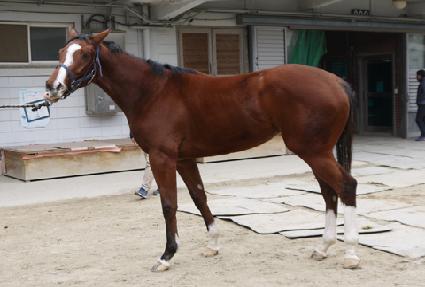 �Ƹ������� ����