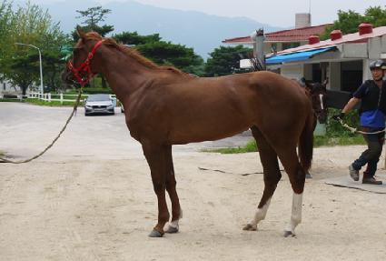 �ÿ���� ����