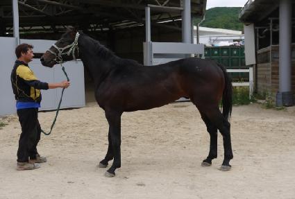 ���̺�Ʈ ����